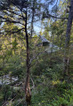 Canso Plane Crash Site