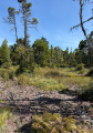 Canso Plane Crash Site