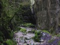 Canyon Canyon