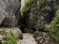 Canyon