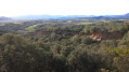 Canyons