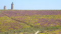 Cap Fréhel Cap Fréhel