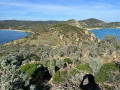 De l'Escalet au Cap Taillat