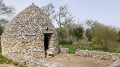 Capitelle