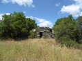 Capitelle