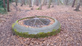 Houghall, The Botanic Gardens and Woodland/Riverside Circular Houghall, The Botanic Gardens and Woodland/Riverside Circular