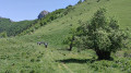 Grand Colombier par Chanduraz