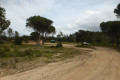 Carrefour citerne
