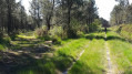 Boucle de Martignas-sur-Jalle au départ du Moulin Bidon