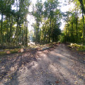 Carrefour de plusieurs pistes. Prendre en direction du Sud, toujours en face, sur le chemin blanc.
