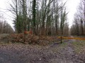 Le Poinçonnet, sa forêt domaniale et ses environs