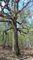 Carrefour - Route du Parc de la Louche Carrefour - Route du Parc de la Louche