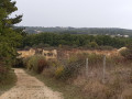Carrière de Peu-Sec à Garat