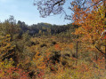 Carrière de Villey-St-Etienne