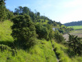 Carrière Carrière