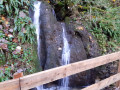 Cascade au coeur des bois