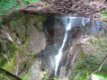 Eine gallische Brücke im Wald von Somail Un Pont Gaulois dans la Forêt du Somail