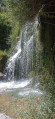 Cascade Charmine