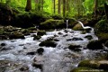 Cascade d'Ardent