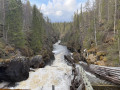 La cascade de l’Auttikönkään Luontopolku