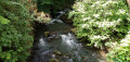 Cascade de l'Aubetin