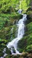 Cascade de la Serva