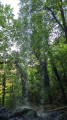 Pisse-Vache Waterfall