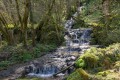 Le Belvédère du Bourbet et la Cascade de Waroly Le Belvédère du Bourbet et la Cascade de Waroly