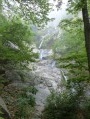 Cascade Dietrich