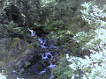 Boucle du Muret par le Lac de la Coche, le Ferrouillet, le Lac de Crop Boucle du Muret par le Lac de la Coche, le Ferrouillet, le Lac de Crop