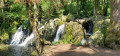 Cascade du Saut du Bouchot