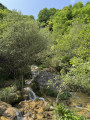 Grottes de Frochet