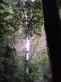 Cascade N° 1 Cascade N° 1