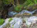 Cascade Profonde