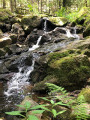 Cascade rafraîchissante
