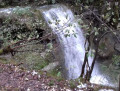 Cascade Cascade