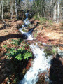 Cascade