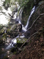 Cascade Cascade