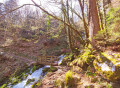 Cascade