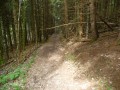 Descente depuis Chosal