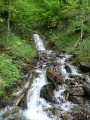 Cascade