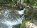 Cascade