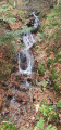 Cascade