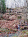 Cascade