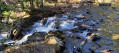 Cascade