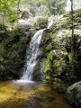 Cascade Cascade