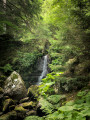 Cascade