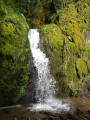 Le Rosinel Felse et la Cascade du Soultzbach au départ d'Urmatt