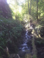 Cascade Cascade