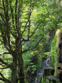 Cascade